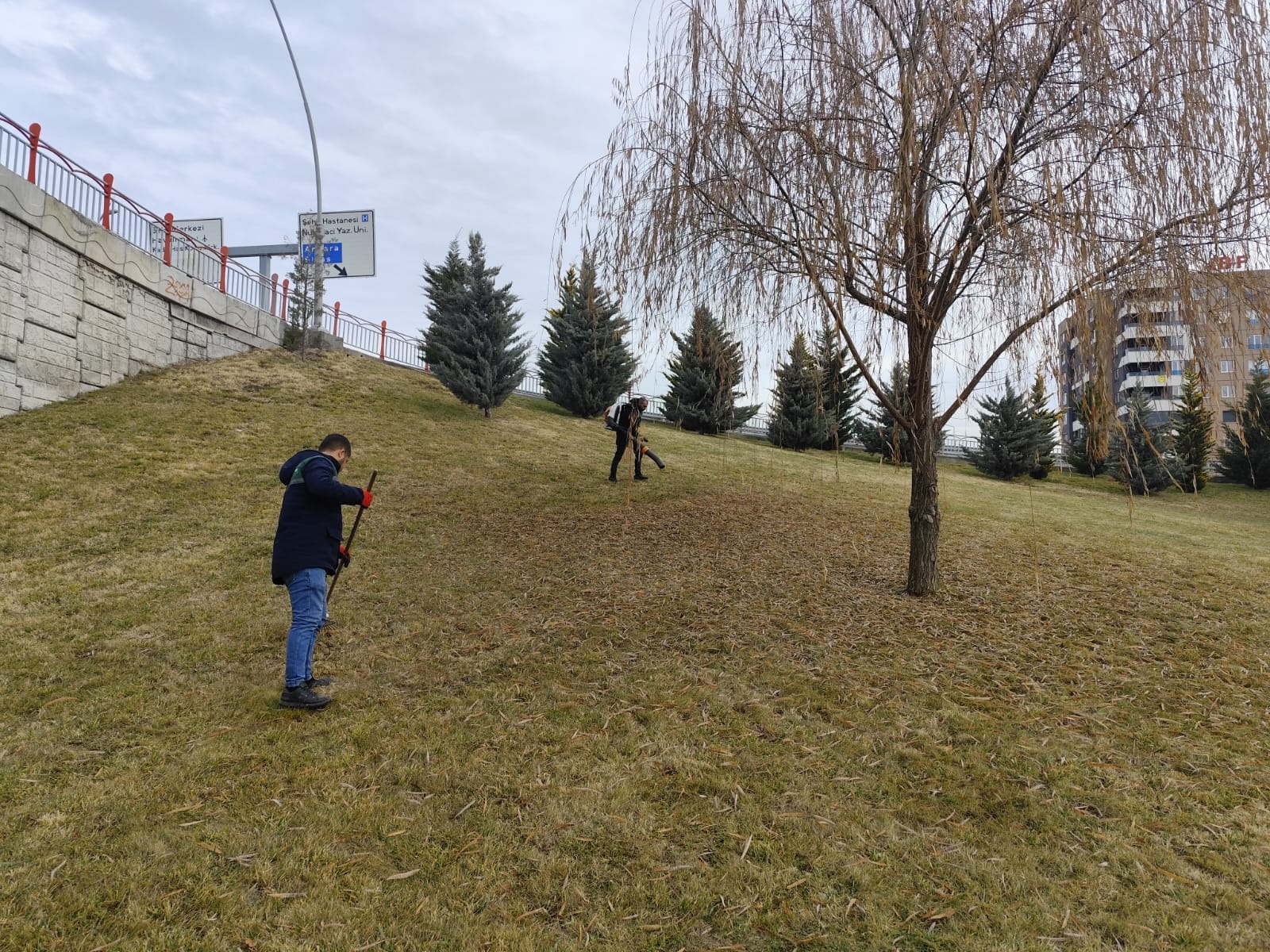 Büyükşehir, Daha Temiz ve Daha Yeşil Kayseri İçin Çalışıyor