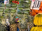 ANANAS PAZAR TEZGAHLARINDA 100 LİRADAN YERİNİ ALDI